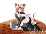  animal_ears catgirl gagraphic maid tagme 