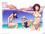  3girls :3 armpits beach bikini brown_eyes brown_hair closed_eyes gagraphic glasses kanai_ryo multiple_girls silver_hair swimsuit tankini wallpaper 