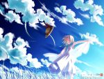  blue straw_hat tsukishiro_hikari wallpaper wind wind_a_breath_of_heart 