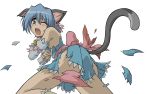   animal_ears ayasaki_hayate blue_hair catgirl hayate_no_gotoku! transparent  