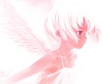  kawata_hisashi r-you tagme white wings 