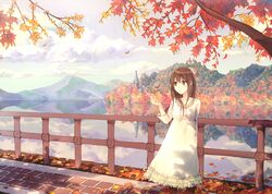  amamizu_(pixiv) dress highres leaf original solo standing usui_(tripcube) water 