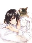 bad_id black_hair cat cat_on_person code_geass dress_shirt hands_together lelouch_lamperouge light_smile looking_at_viewer male pillow purple_eyes sasahara_rena shirt short_hair sleeping solo violet_eyes 