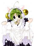  animal_ears bell cat_ears cd dejiko di_gi_charat gloves green_eyes green_hair headdress koge_donbo looking_at_viewer mouth_hold petals simple_background skirt_hold solo 