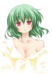  aoilio artist_name bare_shoulders blush breasts cleavage collarbone dress_shirt green_hair head_tilt highres kazami_yuuka light_smile no_lineart off_shoulder parted_lips red_eyes shirt signature simple_background solo touhou unbuttoned white_background youkai 