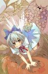  1girl bad_id blue_eyes bow cirno fairy food fruit grapes grin hair_bow ice nature persimmon short_hair smile solo touhou wings 