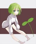  bad_id bent_over copyright_request flat_gaze green_eyes green_hair leaning_forward mazonano plant short_shorts shorts simple_background sweater 