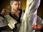  baek_doo_san grey_hair male namco solo tae_kwon_do tekken tekken_6 wallpaper 