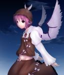  animal_ears arms_back brown_eyes cloud clouds hat highres kurehon_shouya light_smile long_sleeves midriff mystia_lorelei navel night night_sky pink_hair short_hair skirt sky solo touhou wings 