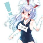  1girl animal_ears breasts buck_teeth bunny_ears bunny_tail character_name highres large_breasts long_hair name_tag one-piece_swimsuit red_eyes reisen_udongein_inaba school_swimsuit skull.03 solo swimsuit tail touhou 