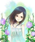  bare_shoulders black_eyes black_hair dress flower head_tilt long_hair morning_glory shinohara_natsuki smile summer_wars sundress wind yumi_(tuzisaka) 