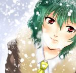  bad_id bajinappo blush coat from_above fur-lined fur_trim green_hair kazami_yuuka light_smile lips looking_up portrait red_eyes snow solo touhou youkai 