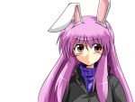  animal_ears bad_id bunny_ears bust jacket pink_hair purple_hair rabbit_ears red_eyes reisen_udongein_inaba solo sora_no_amagumo sweater touhou turtleneck 