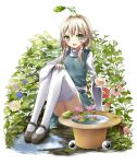  animal blonde_hair bon bon_(artist) bow fang flower frog green_eyes hair_bow hair_ribbon hat hat_basket hat_removed headwear_removed hydrangea leaf legs long_hair looking_at_viewer lotus mary_janes moriya_suwako nature open_mouth puddle ribbon ringed_eyes shoes simple_background sitting smile solo thigh-highs thighhighs touhou water white_legwear white_thighhighs wide_sleeves 