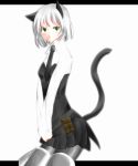  animal_ears cat_ears cat_tail green_eyes highres necktie pantyhose sanya_v_litvyak silver_hair skirt solo strike_witches tail 
