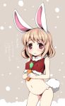  akino_sora animal_ears blonde_hair bunny_ears bunny_tail navel original panties red_eyes short_hair solo tail underwear 