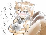  blazblue blush breasts brown_eyes brown_hair dvddvd jpeg_artifacts large_breasts makoto_nanaya sketch squirrel_ears squirrel_tail tail tsuki_wani under_boob underboob 