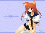  animal_ears blue_eyes cat_ears catgirl fish highres mitsumi_misato no_pants one-piece_swimsuit open_clothes open_shirt orange_hair original school_swimsuit school_uniform shirt swimsuit swimsuit_under_clothes wallpaper 