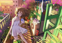  1girl absurdly_detailed_composition animal animal_ear_fluff animal_ears balcony bare_arms bare_shoulders brown_hair building cat choppy_bangs clothes_pin commentary_request complex_exterior dress drink_carton drinking_straw drying drying_clothes evening feet_out_of_frame floating_hair flower flower_request holding holding_drink_carton medium_hair open_window original outdoors plant potted_plant purple_flower railing shadow sleeping_animal sleeveless sleeveless_dress slice_of_life socks solo spaghetti_strap standing sundress unworn_socks user_hwmk2727 violet_eyes watering_can white_cat white_dress white_socks window 