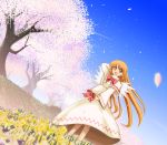  cherry_blossoms lily_white makino_(ukiuo) sky touhou wallpaper 