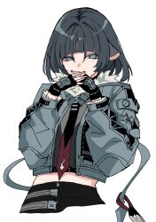  1girl absurdres animal_ears black_gloves black_hair black_nails black_shorts blue_eyes blue_jacket commentary_request cropped_jacket cropped_legs fingerless_gloves fur-trimmed_jacket fur_trim gloves hair_between_eyes hand_to_own_mouth highres jacket jane_doe_(zenless_zone_zero) looking_at_viewer mokomokololo mouse_ears mouse_girl mouse_tail necktie open_clothes open_jacket own_hands_together shorts simple_background solo tail white_background zenless_zone_zero 