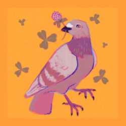  animal_focus bird clover flower grey_bird highres makovietz no_humans orange_background original pigeon purple_flower simple_background solo 