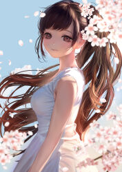  1girl bare_shoulders blue_sky breasts brown_eyes brown_hair cherry_blossoms commentary_request dress from_side highres komorihikki lace-trimmed_dress lace_trim light_smile long_hair looking_at_viewer looking_to_the_side medium_breasts original ponytail sky smile solo spring_(season) straight_hair sunlight turning_head white_dress 