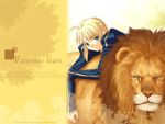  blonde_hair fate_(series) lion saber type-moon wallpaper 