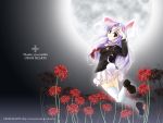  animal_ears ayase_hazuki bunny_ears bunny_tail flower higanbana highres hits moon purple_hair reisen_udongein_inaba solo spider_lily tail touhou wallpaper 