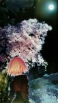  cherry_blossoms copyright_request moon night sky solo takeuchi_takashi tree 