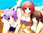  ass ayane ayane_(doa) bikini blue_eyes breasts brown_hair butt_crack character_request cleavage dead_or_alive frilled_bikini frills front-tie_top hairband hitomi iizuki_tasuku jewelry kasumi large_breasts looking_at_viewer multiple_girls necklace on_stomach pendant purple_hair red_eyes red_hair redhead side-tie_bikini strap_gap swimsuit 