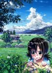  ahoge bandaid black_hair bokuden brown_eyes brown_hair cloud clouds dragonfly fence flower hat hat_removed headwear_removed house ladybug landscape meadow nature original rural scenery shade short_hair sky solo stare straw_hat tree tree_shade twintails 