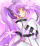  c.c. c.c._(cosplay) code_geass cosplay flower kawashi long_sleeves purple purple_background purple_eyes purple_hair solo sophie_(tales_of_graces) tales_of_(series) tales_of_graces twintails violet_eyes 