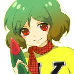 chargeman_ken! cosplay green_hair izumi_ken kazami_yuuka parody plaid portrait red_eyes scarf smile solo touhou unmoving_pattern white_background 