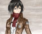  black_hair jacket mikasa_ackerman move rain scarf shingeki_no_kyojin short_hair 