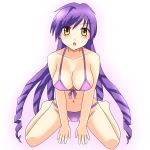  breasts caren_(mermaid_melody_pichi_pichi_pitch) cleavage drill_hair jewelry kneeling mermaid_melody_pichi_pichi_pitch miru necklace purple_hair swimsuit yellow_eyes 