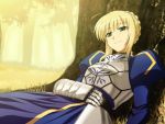  blonde_hair fate/stay_night forest green_eyes saber 