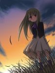  fate/stay_night fate_(series) flat_chest grass illyasviel_von_einzbern kaze_shibuki long_hair red_eyes silver_hair skirt sky smile solo sunset wind 