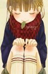  kneehighs leaf mizutamako mouth_hold scarf school_uniform sitting socks solo 