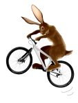  ami_(kawasemidori) bicycle bunny highres no_humans pun rabbit 