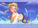  bikini blonde_hair boat cat nanao_naru swimsuit tankini twintails wallpaper yellow_eyes 