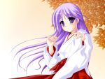  blush happiness japanese_clothes kakesu male miko purple_eyes purple_hair trap wallpaper watarase_jun 
