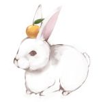  bunny food fruit mandarin_orange maruki_(punchiki) no_humans object_on_head original punchiki rabbit simple_background tangerine 