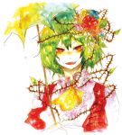  flower_on_head green_hair kaio_(watagami) kazami_yuuka open_mouth red_eyes short_hair smile thorns touhou umbrella 