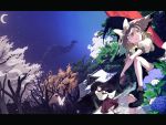  album_cover bow cosmic_(crownclowncosmic) cover crescent_moon detached_sleeves dutch_angle flower hair_bow hakurei_reimu hat hydrangea kirisame_marisa letterboxed miko moon multiple_girls night night_sky sitting sky touhou witch_hat 