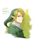  blue_eyes earrings gucha_(netsu) hat jewelry link nintendo pointy_ears smile the_legend_of_zelda twilight_princess 