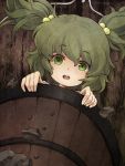  bucket face girl_in_bucket green_eyes green_hair hair_bobbles hair_ornament in_bucket in_container kisume short_hair solo touhou twintails urin 