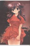 artist_request brown_eyes brown_hair clothes_grab evening from_below higurashi_kagome inuyasha japanese_clothes long_hair scan short_sleeves sky solo source_request tree 