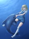  blue_eyes dolphin highres mochi.f original short_hair solo thigh-highs thighhighs underwater white_legwear white_thighhighs 