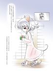  animal_ears blush gift grey_hair mouse mouse_ears muu_rian nazrin nightgown slippers solo tail touhou translated translation_request 